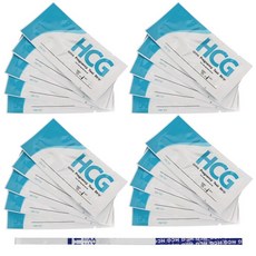 부모님임밍아웃