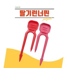 어린이딸기삔