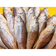 서천 이모네 반건조 황금 참조기 20미, 참조기 21cm 내외 10미, 10개