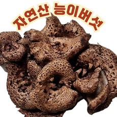 자연산 능이버섯 냉동 건조 최상급 생능이 외국산 찜 탕 조림 백숙 볶음, 1세트, 냉동능이 최상급1kg