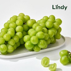 린디 망고포도 고당도 샤인머스켓 600g-1kg 1.5kg 2kg 3kg 4kg 선물세트, 1박스, 고당도 샤인머스켓=당도선별, 중량=1kg내(1~2송이)