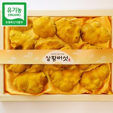 지설농장 유기농 상황버섯 원형 선물세트, 1박스, 150g