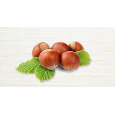 헤이즐넛향오일