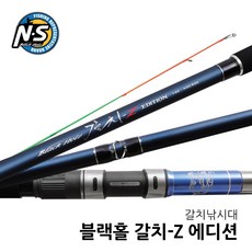 ns갈치대