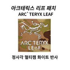 아크테릭스패치 TOP01