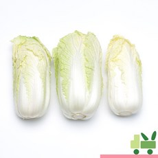 사라상회 알배기배추 (쌈배추) 3Kg (상), 1개