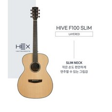 헥스 하이브 F100 G 유광 OM바디 통기타(Hex Hive F100 G)