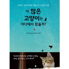 이 많은 고양이는 어디에서 왔을까?:버려진 고양이에게 내밀어진 손길의 기록