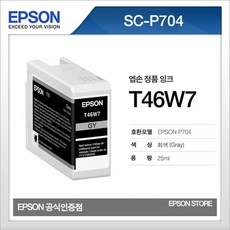 엡손 T46W7 회색 라이트블랙 EPSON SC-P704