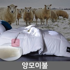 호주산양모이불