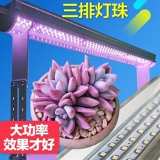 072a5a66b0400c924197dc1e40ac6455d4cbaeab9e6e55fe437005a959da.jpeg