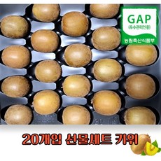 골드키위 레드키위 선물세트, 1박스, 골드키위 2.1kg(개당 105g 내외)