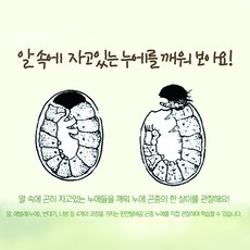 수원해삼주스
