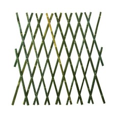98d69a91fe5f18a1f6b2a8b7b3ec314db9043d2f7f90c3000892286a4a5c.jpg