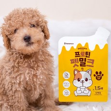  안먹으면 무료교환반품 달라네제 프로틴 펫밀크 20개입 강아지 고양이 단백질 우유 음료 산양유 첨가, 20개, 50ml, 우유맛 