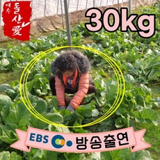 [여수돌산애] 여수 돌산갓 돌산 생갓 5kg 10kg {대량납품전문} 당일수확 산지직송 청갓 갓장아찌용 갓피클용 김장용 갓김치용 여수갓, 30kg, 1개