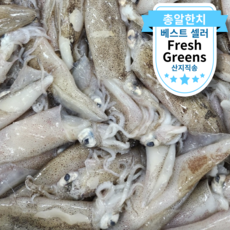 [국내산] 자연산 생물 급냉 총알한치 담백 고소 내장가득 초코한치 통찜한치, 1세트, 1kg(30~60미)