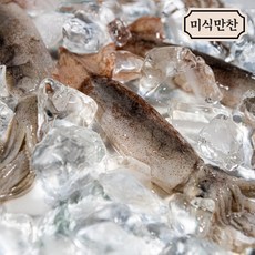 원양산 급냉 총알한치 500g(15~23미) 내외 통찜 한입 냉동, 1개