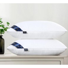 조선호텔구스배게