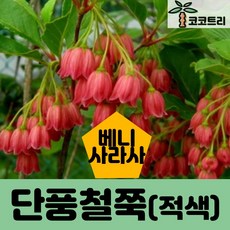 40bfb1838feec980502120af254dce54688bea7f049eba0049cc3faf6eab.jpg