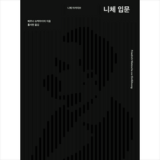 니체철학입문