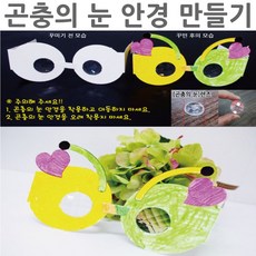 곤충의눈
