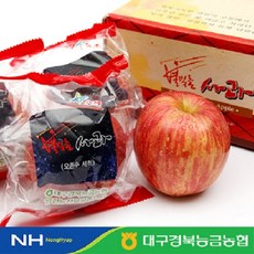 [경북능금농협] 영천 세척사과 2.5kg 11-14과 #소과 #부사, 단품