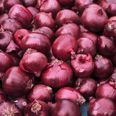 [당일배송] 23년 아삭한 적양파 무안양파 자색양파 Red Onion, 1박스, 3kg