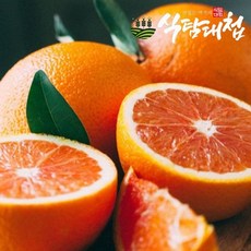 카라카라오렌지2kg