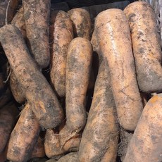 나눔농산물 제주 구좌 주스용 당근 못난이 3kg 5kg 10kg, 1개, 못난이쥬스용3kg