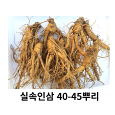 못난이 파삼 세척못난이40-50뿌리 파삼, 700g 40-50뿌리세척 (0)+ 못난이대추 20g, 1개