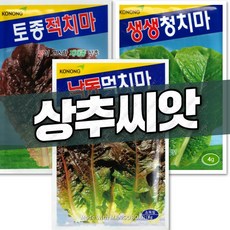 상추씨앗 세트 3종 생생청치마 낙동먹치마 토종적치마