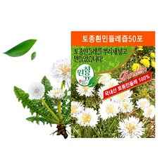 참유원 국내 토종 하얀 흰 민들레즙 진액 원액 효능 50포 100포, 1 특허받은  국내토종 흰민들레즙 50포
