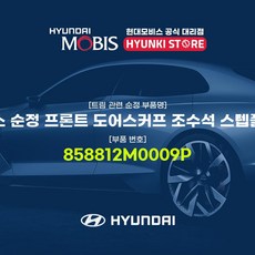 제네시스스포츠개조