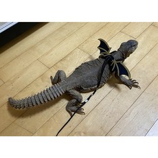 파충류 하네스 도마뱀 파충류 목줄/파충류 하네스/날개하네스