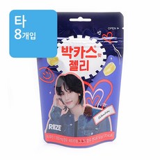 (타)동아제약 라이즈 박카스맛젤리 50g (8개입), 1개