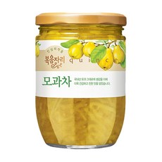 킴스클럽 복음자리 모과차 620g, 1개, 1개