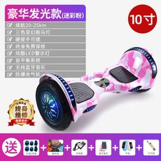 전동이륜평행차