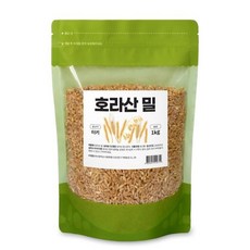 호라산 밀(터키) 1kg