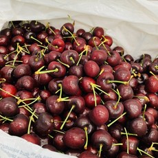 7c8cb89cfc7a9f3becaae8ee0b719c1826f9d23a0e4ad47dc9f8dc75491f.jpg