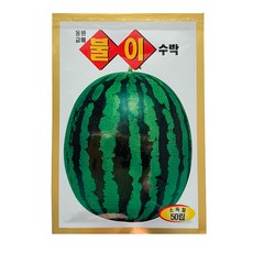 과일 씨앗 택 1 (금송아지 참외 불이수박 ) 과일심기, 불이수박 50립, 1개, 8kg