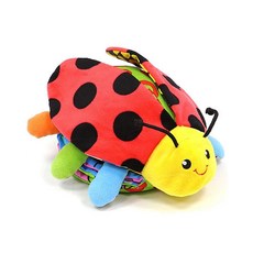 무당벌레헝겊책