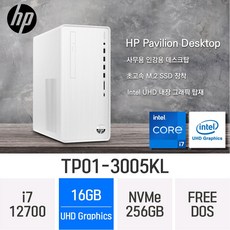 HP 파빌리온 TP01-3005kl 256GB 16GB Free DOS 상품 이미지