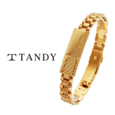 탠디 탠디(TANDY) 테라슬릿 팔찌 TH701M 골드