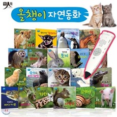 올챙이자연동화