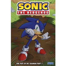 (영문도서) Fate of Dr. Eggman Part 1 Library Binding, Spotlight, English, 9781532144370