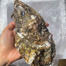추천6 대왕굴