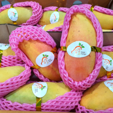 태국 마하차녹 무지개 망고 2.5kg 5kg 농장에서바로 항공직송 제철 선물용 프리미엄 수입 열대 과일 레인보우망고 달망고 생망고, 프리미엄 무지개 망고 16과 5kg