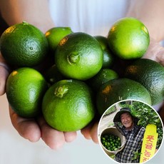 실버바5kg