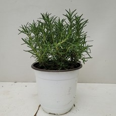 1e7555a1ef9d882d1e4884e906134e36978c23f955a60c55458bbade1921.jpg